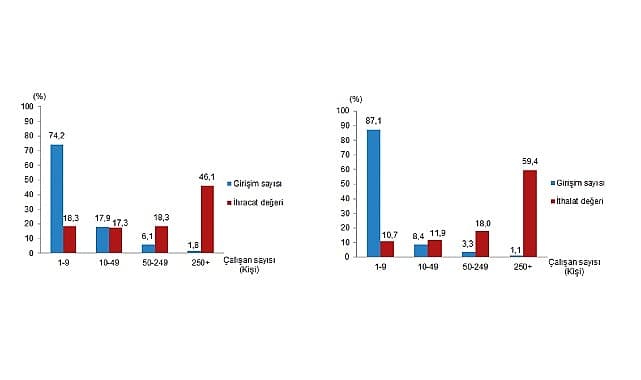 Girişim Özelliklerine Göre Dış Ticaret İstatistikleri, 2025