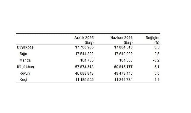 Hayvancılık İstatistikleri, Haziran 2026
